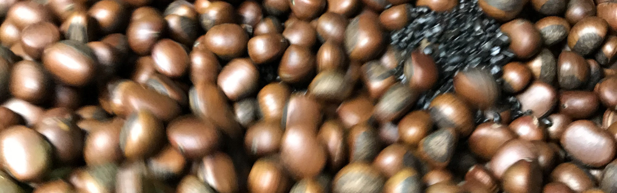 天津甘栗